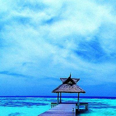 九游会AGapp下载