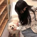 欧意在线登录-登录入口